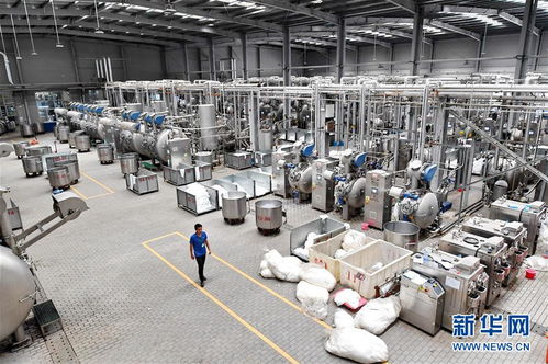 小小公筷，大大文明——每一餐都用心装点未来